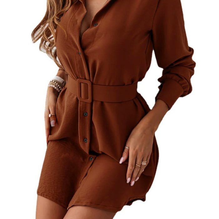 Long-sleeved Lapel Dress